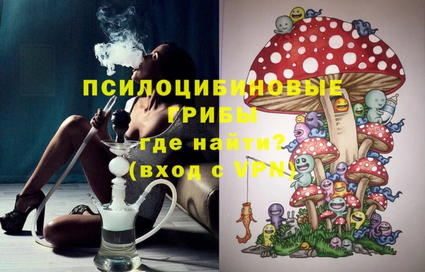 прущие крисы Бежецк