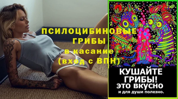 герыч Белая Холуница