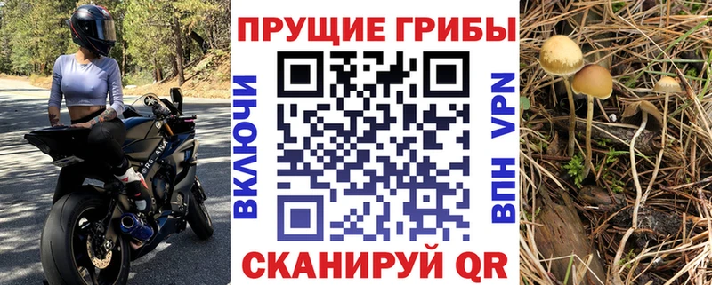 Псилоцибиновые грибы мицелий  Канаш 